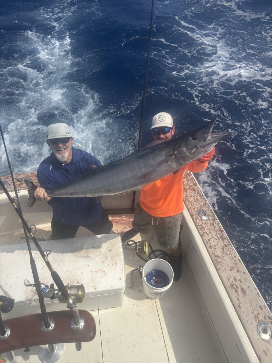 Wahoo