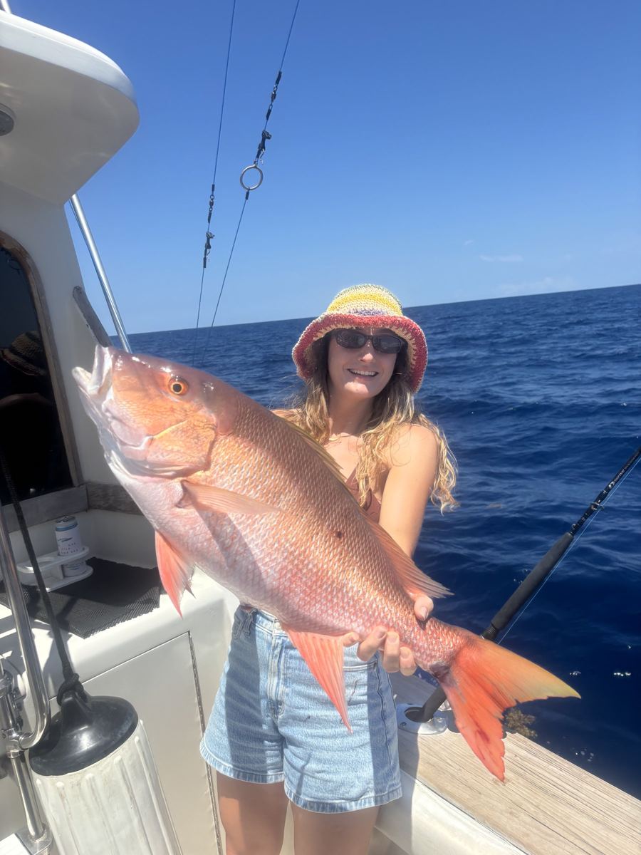 Mutton snapper