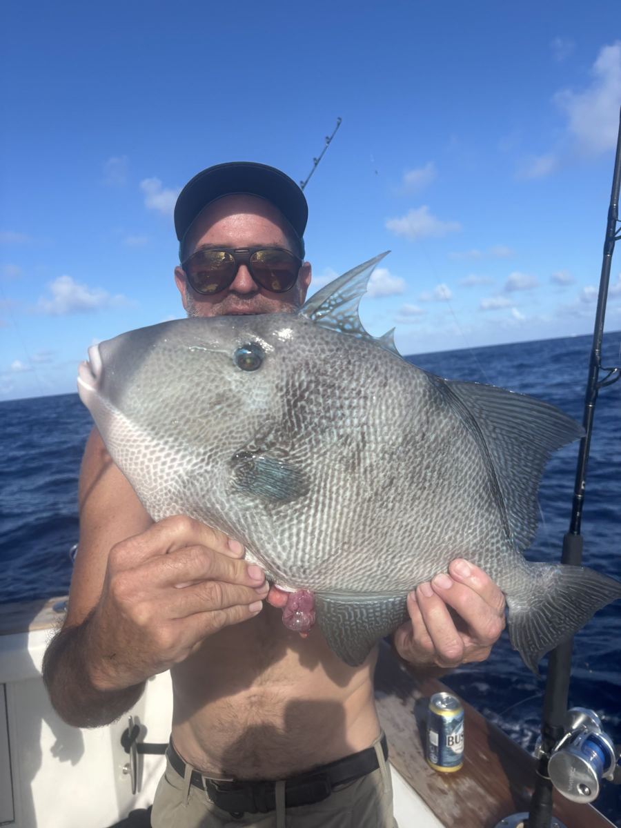 Triggerfish