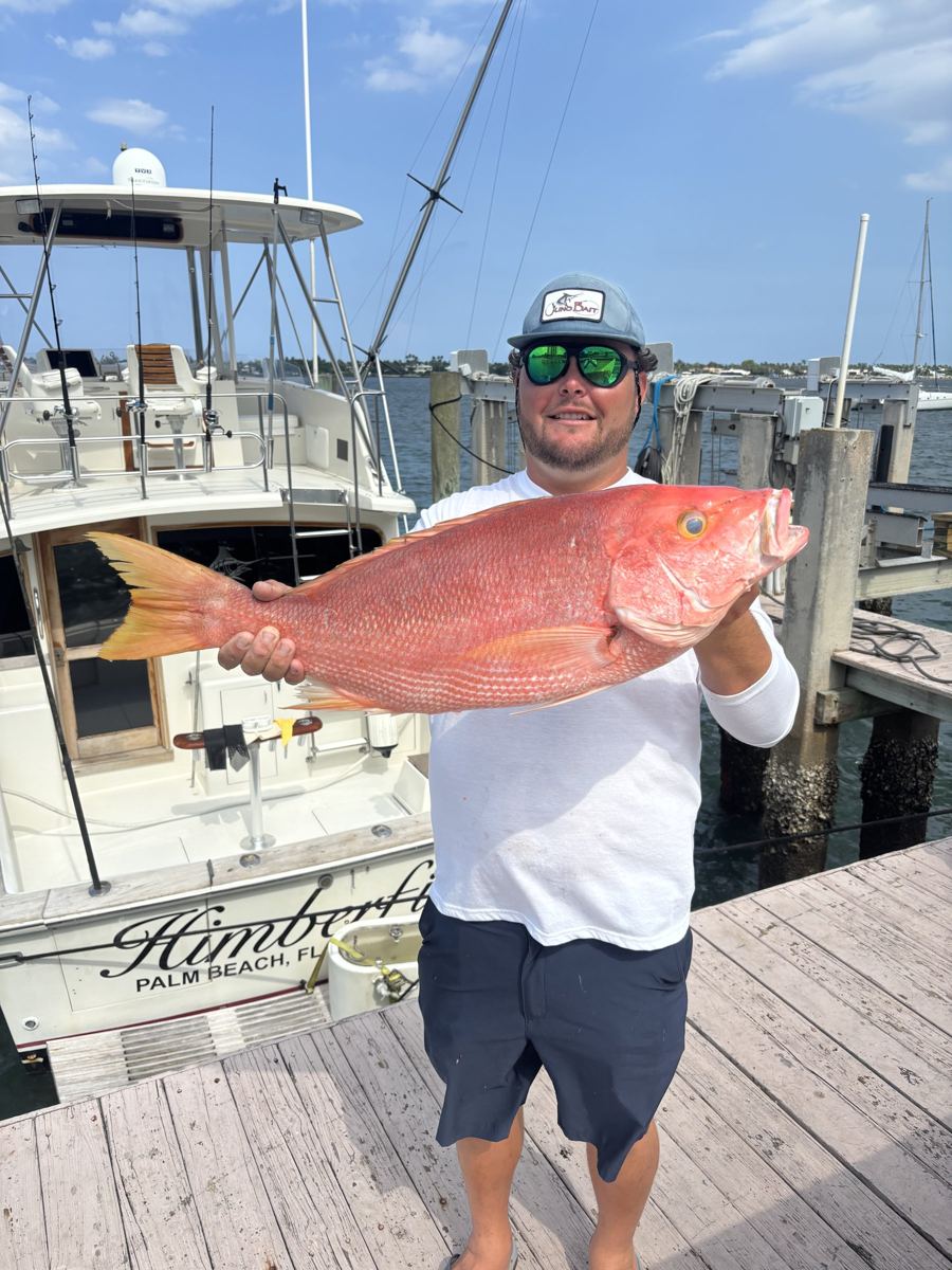 Yellow-eye snapper